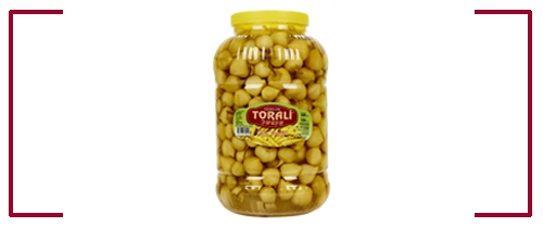 PET TURŞU ÇEŞİTLERİ 2.200 GR